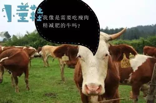 我和小伙伴们都惊呆了,新西兰牛肉被检测出瘦肉精?!