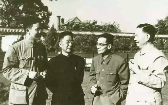 25张好莱坞名人青涩照,明星希拉里惊艳的照片