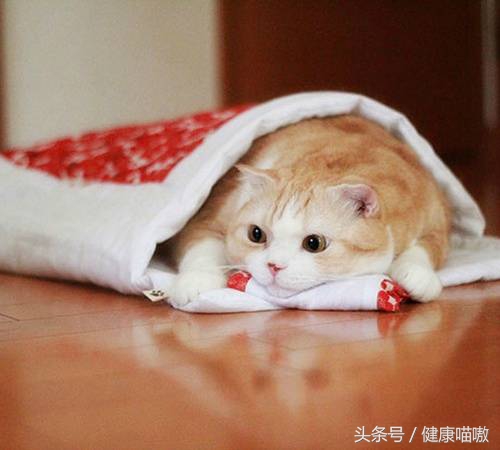 湿疹的预防治疗,湿疹的预防和护理