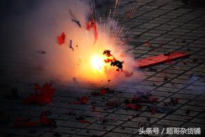 鹦鹉太容易受惊怎么了,血的教训极其深刻