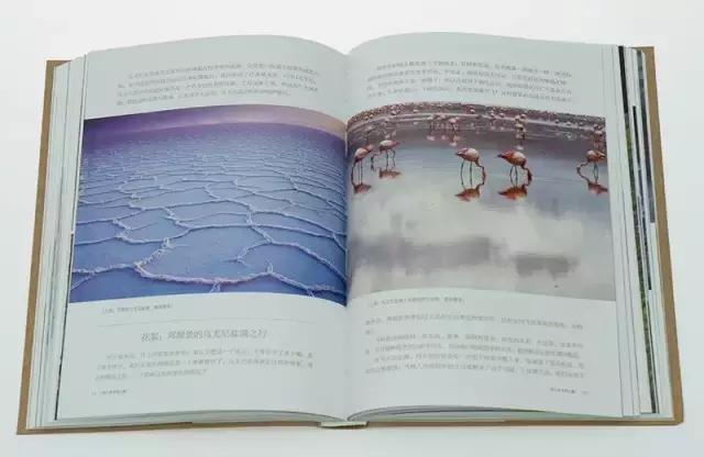 大咖推荐的经典好书你都读过吗,学摄影必读的几本书推荐