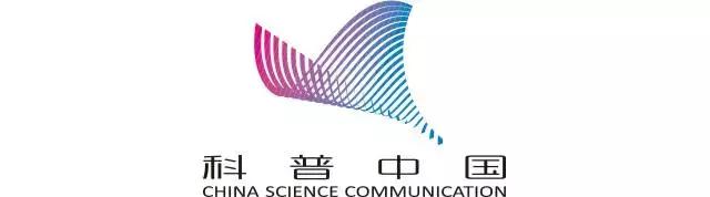 十大公认的减肥酵素,学做排毒减肥酵素