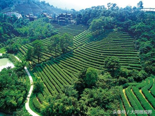 安溪茶都批发市场,安溪茶都店铺出售