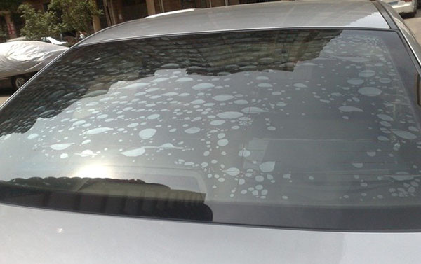 最强《贴膜真经》出炉，这份秘籍会让你的爱车少走很多弯路