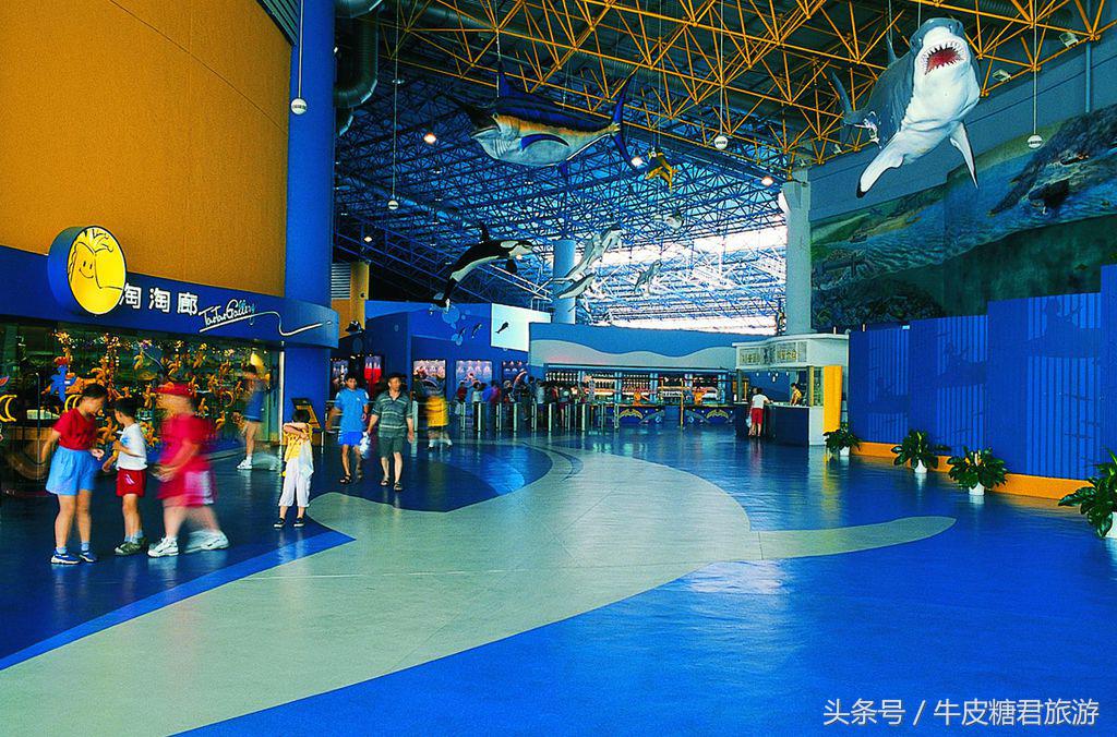 北京工体富国海底世界周边玩乐,北京富国海底世界游览全过程