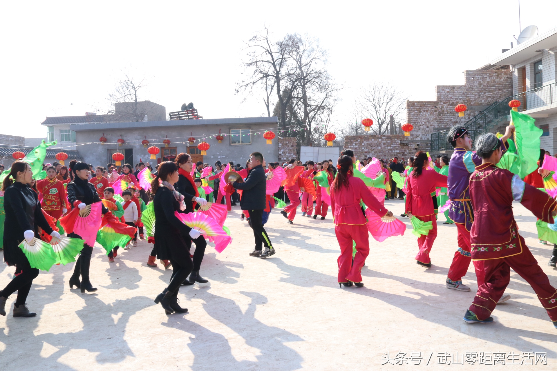 武山秧歌航拍,武山秧歌耍马