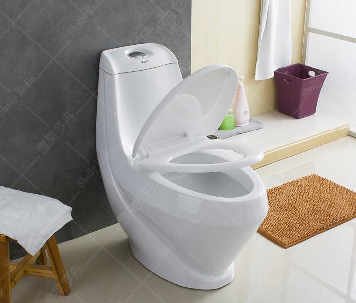 舒适座便器,适合家用的座便器