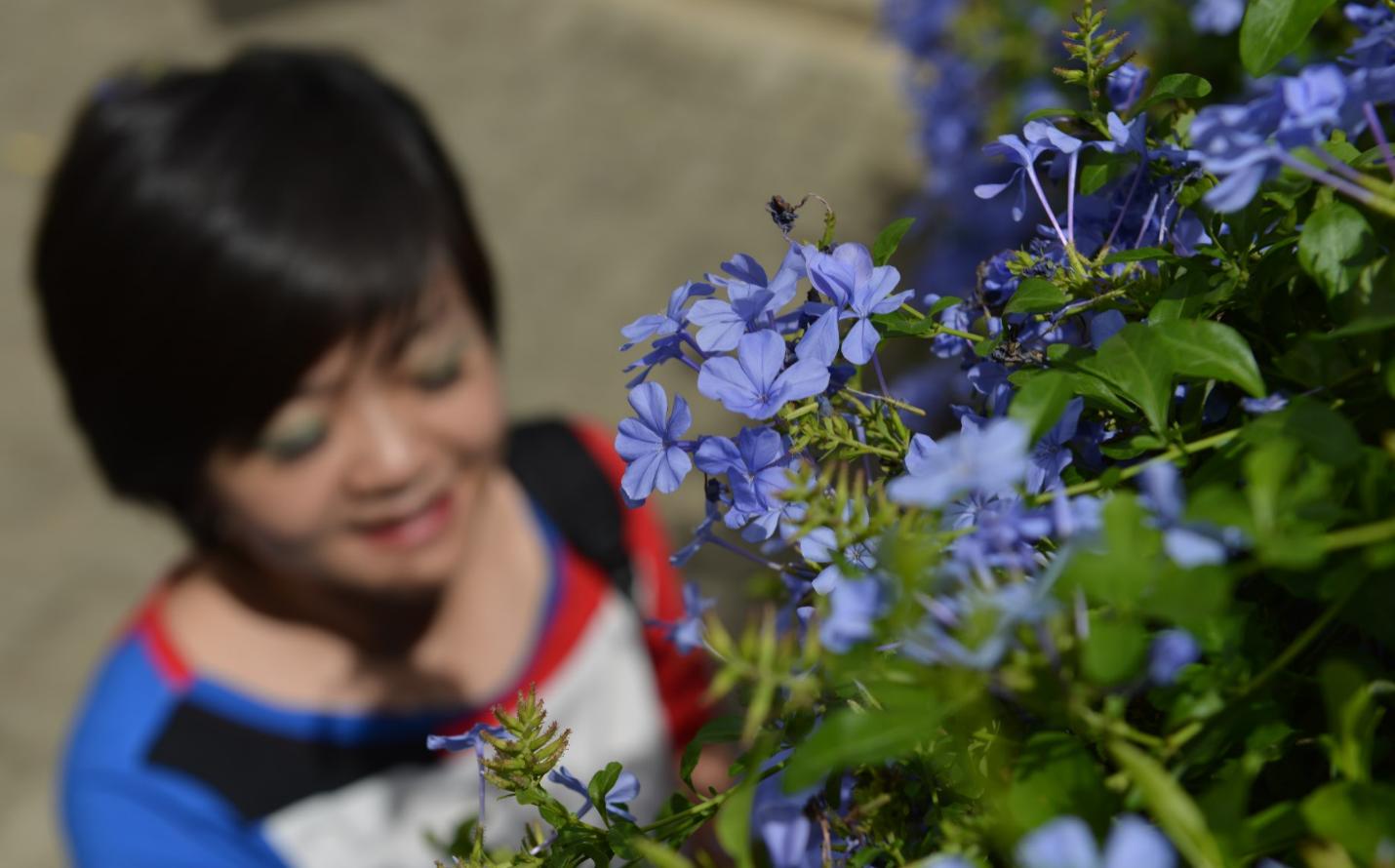 斯里兰卡这个国家,斯里兰卡有哪些与众不同之处