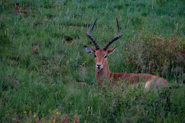 走进彩虹之国感受南非独特之美,彩虹之国南非