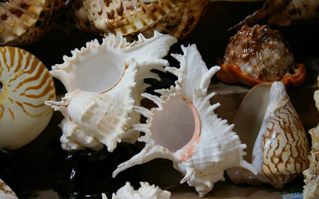 一次说走就走的旅游海南三亚,一次说走就走说回就回的旅行