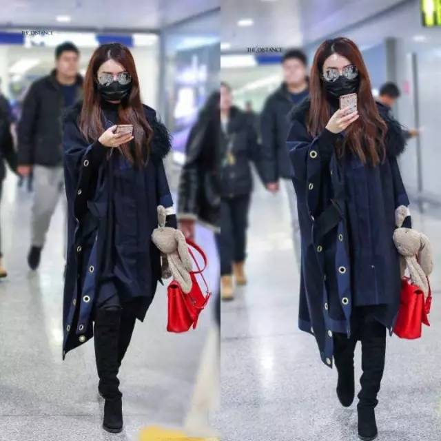 赵丽颖棕色包,赵丽颖名牌包