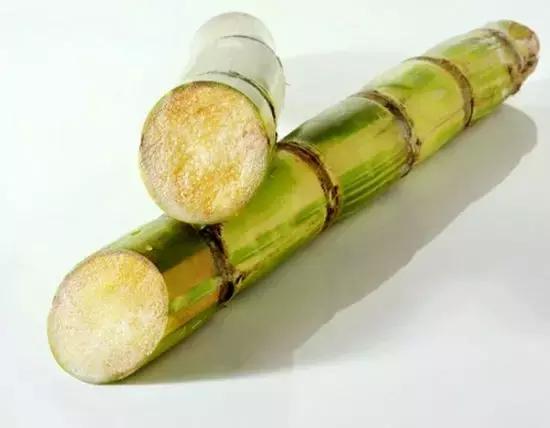 什么是当季蔬菜水果,什么是当季水果