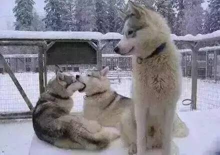 昨天过节又被虐了吧，快读十篇好文章恢复元气