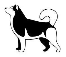 你绝不知道，哈士奇和阿拉斯加差别最大的地方原来是……菊花！