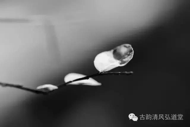 静在自然中,静悟人生真谛