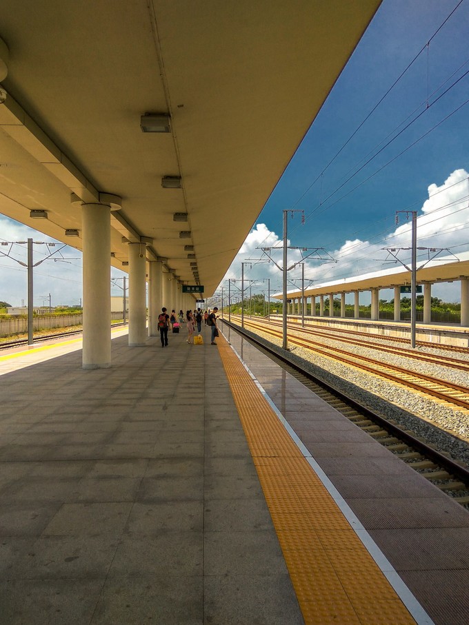 论一个吃货的自我修养小说,论一个吃货的自我修养