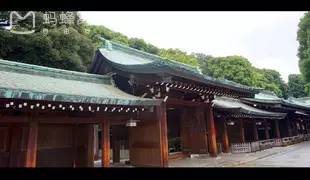 樱花短途旅行包大容量,樱花三月去踏青加长版