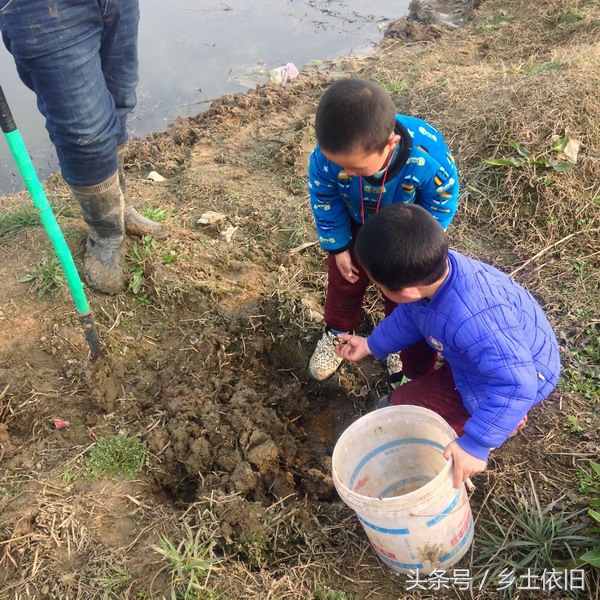 农村小伙河边挖这个,一斤好几百,也许是个致富项目