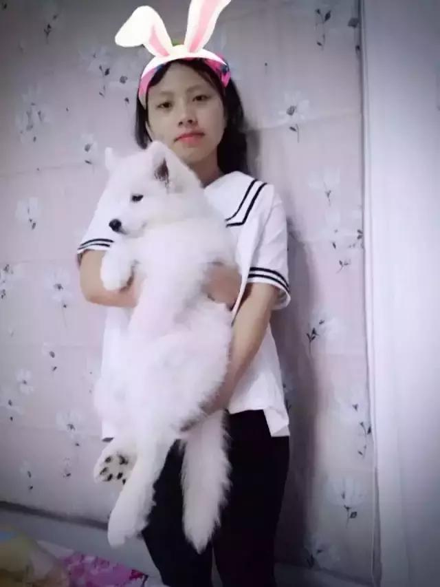 长沙宠物蜥蜴品种有哪些,别人家养的宠物蜥蜴食肉动物