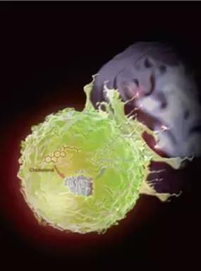 2022年中国重大科技盘点,2020年重大科学与工程