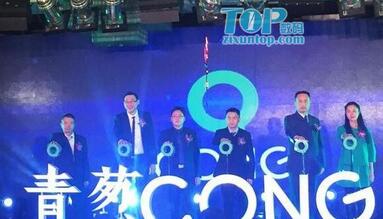 2015青葱手机,青葱手机卖多少钱