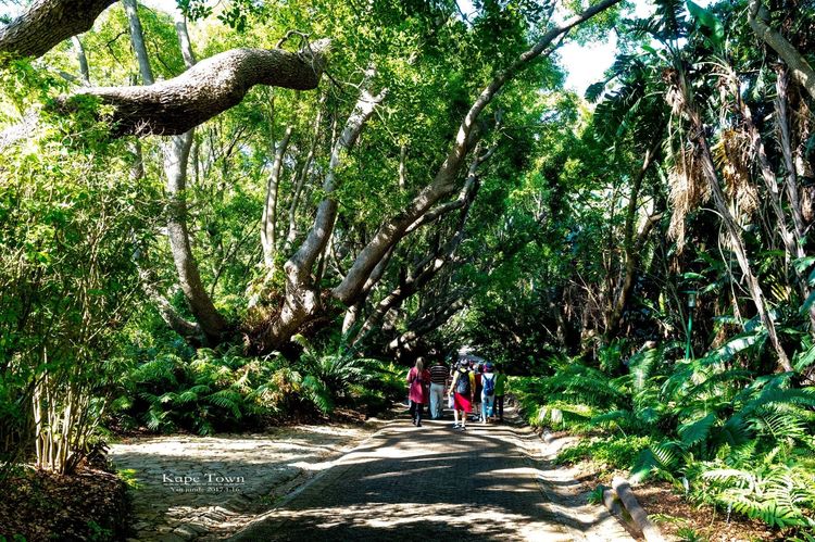 走进彩虹之国感受南非独特之美,彩虹之国南非
