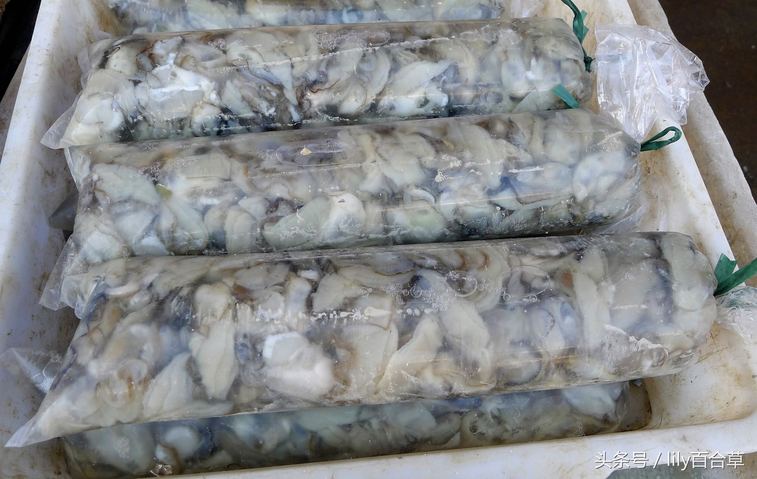 吃海鲜适合带什么,回家路上可以带海鲜吗