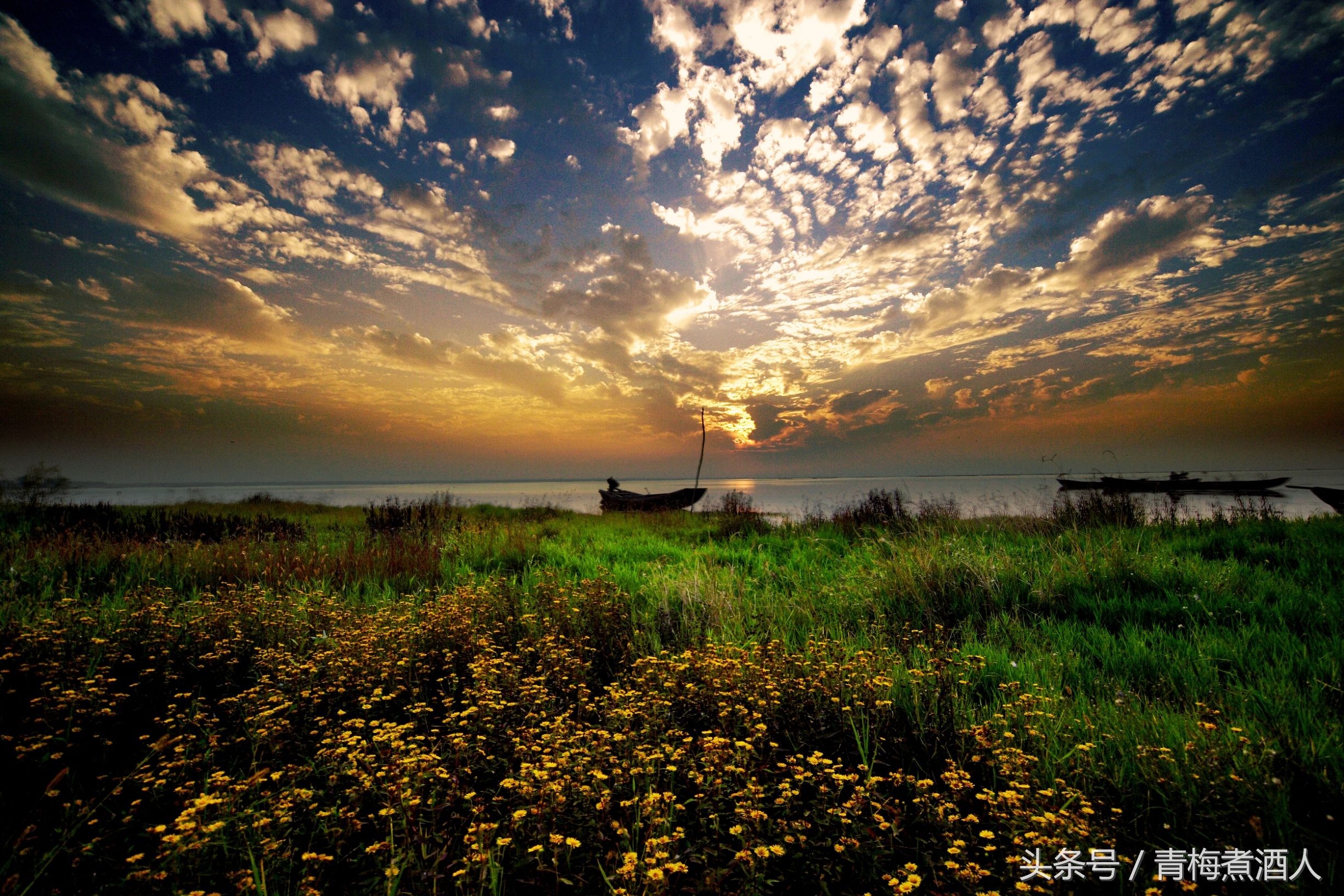 江苏一个四线城市，被誉为地球上的“生命圣地”