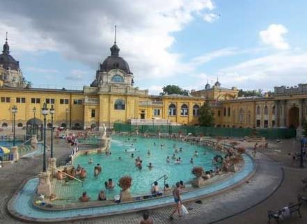 日本第一绝美温泉,日本温泉猴子