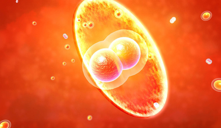 水浇太阳有用吗,水泼太阳会怎样