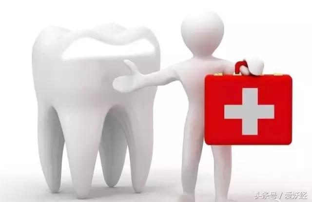 顽皮家族宠物医院怎么样,顽皮家族宠物医院属于什么组织