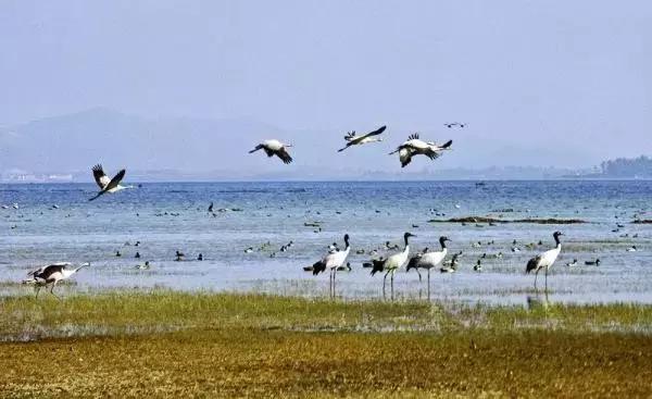 贵州省各县区经济排名,贵州地区总值多少
