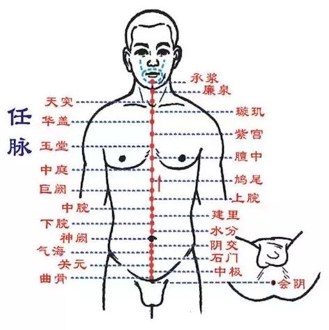 经络调理秘诀小程序,经络治百病