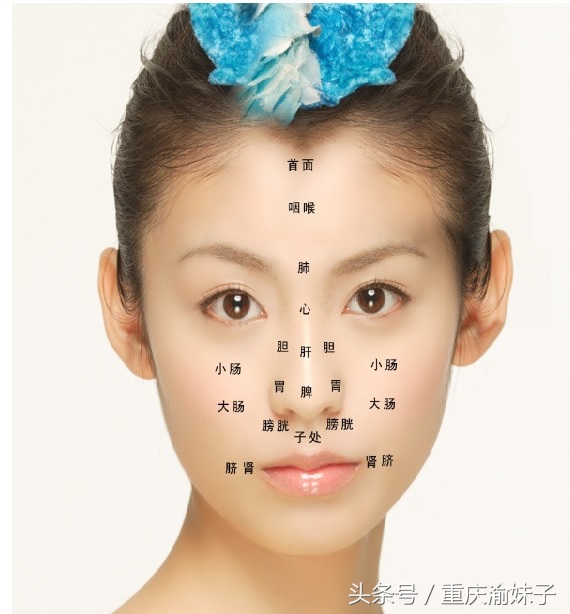下巴一直长白色脓包痘是什么原因,下巴老是长痘是身体哪个器官不好