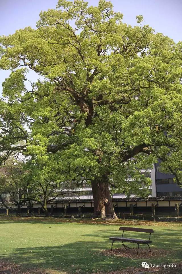 日本大阪旅游地震,日本旅游福岛地震