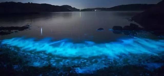 bromo活火山在哪,bromo火山超详细攻略