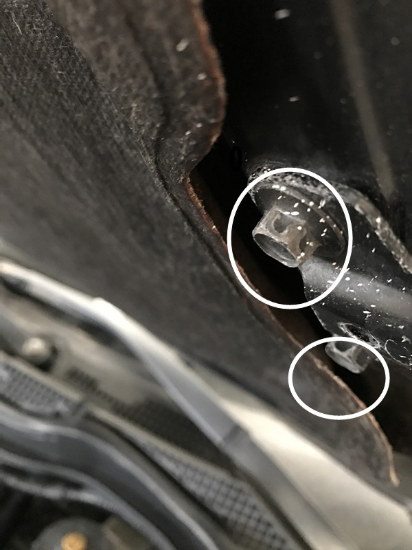 原车主把这车当浴缸使?二手雅阁的悲惨命运