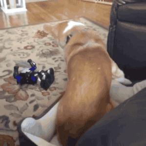 十个笑话简短,十个笑话经典