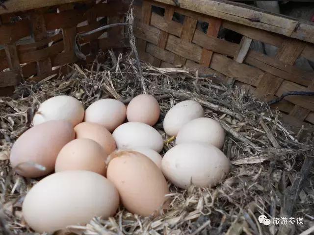 吉林省抚松县氡泉民宿,吉林省民宿旅游景点推荐