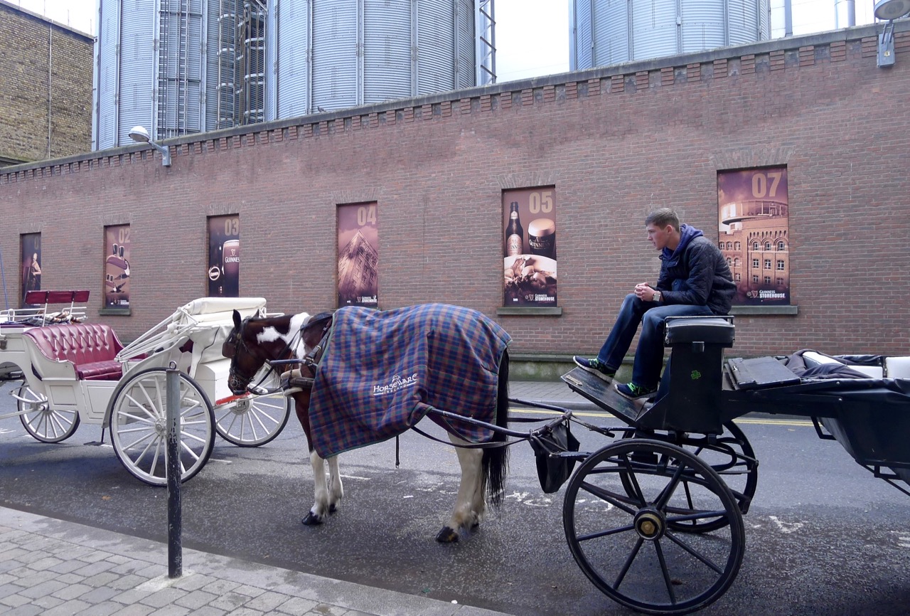 健力士与吉尼斯世界纪录的关系,吉尼斯世界纪录和健力士
