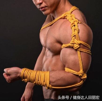 健身教练专业知识大全,健身教练要学哪些知识