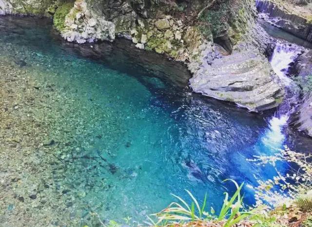 樱花短途旅行包大容量,樱花三月去踏青加长版