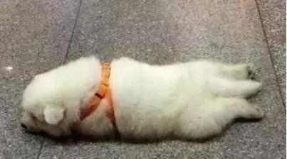 有时候觉得自己变丑了的配音,有时候觉得自己变丑了原视频