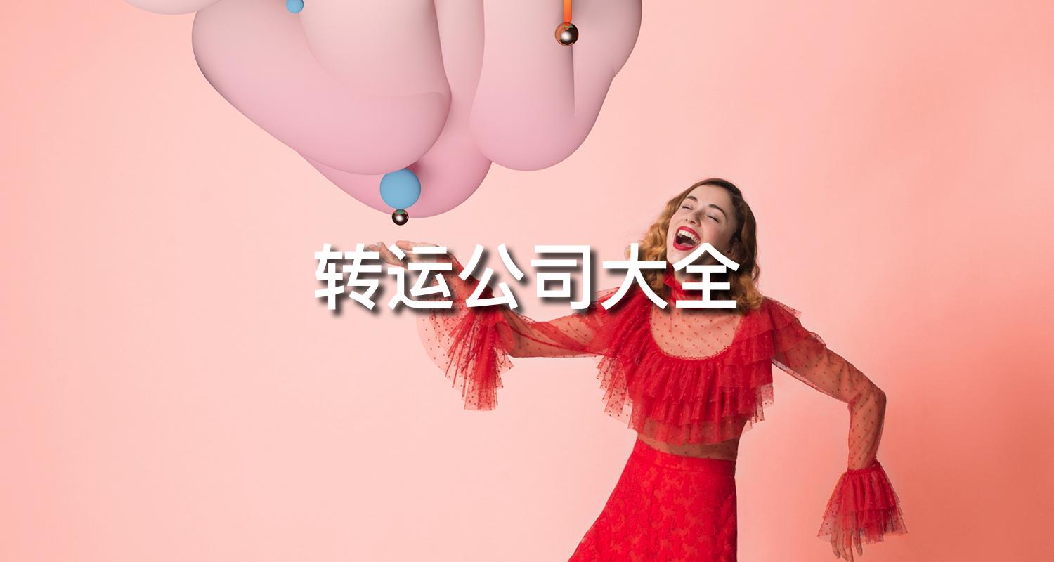 转运公司国际,国际转运公司app推荐