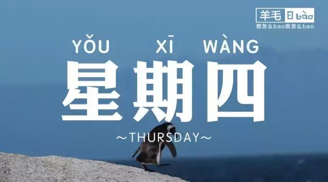 3月剪羊毛,3月羊价