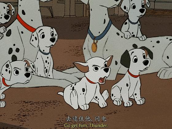 这些猫狗男女都爱看