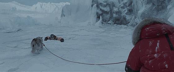 这些猫狗男女都爱看