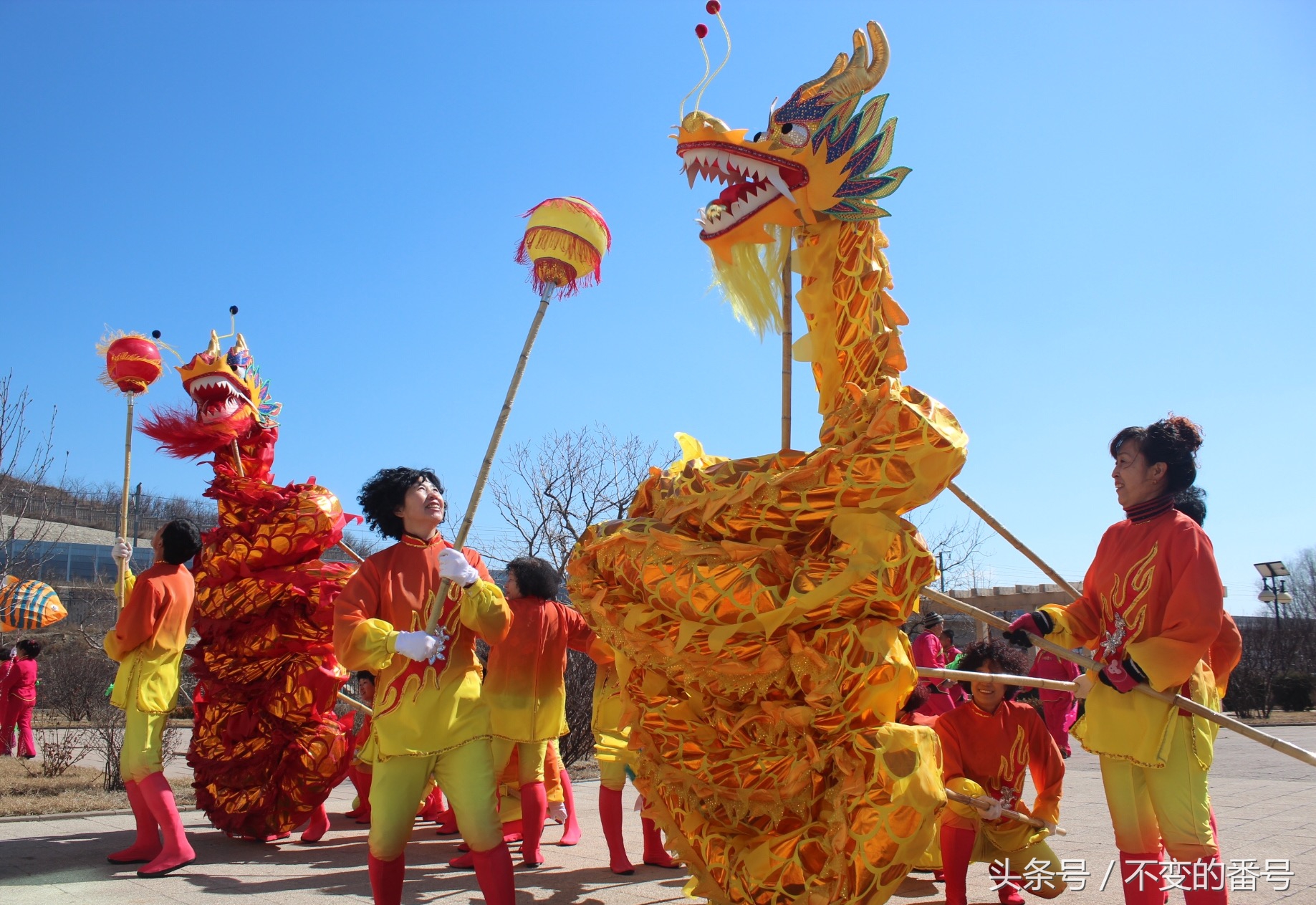 龙腾华夏二月二龙抬头,二月二龙腾视频