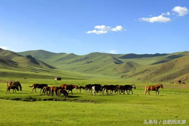 坐火车便宜旅游的国家,坐火车就能出国旅游的攻略