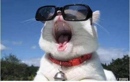 钢材销售员的一天，简直太形象了！笑喷……